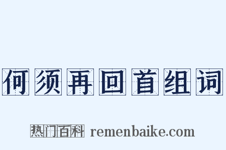何须再回首组词是什么意思的图片